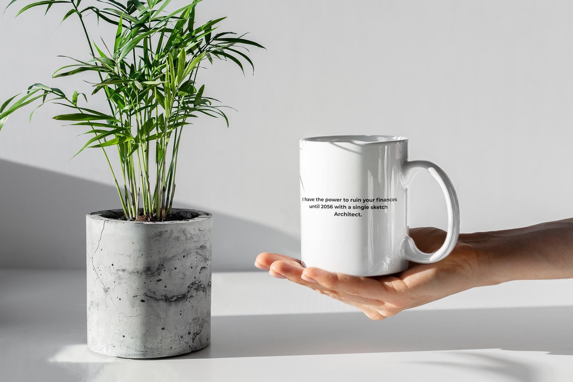 Sarcastic Architecture Mug | Funny Architect Mug, 11oz 15oz, Gift for Christmas